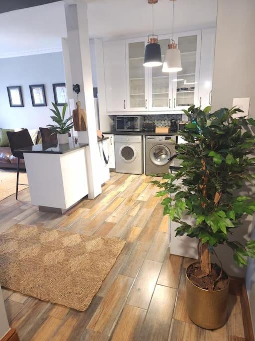 Cape Town, Sea Point, Beautiful 2 Bedroom Apartment @Tucked Away エクステリア 写真